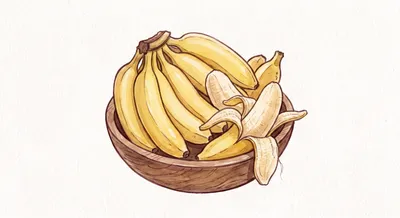 Plátano de Seda